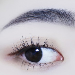 Holoris Classic Black(日拋)